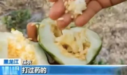 砀山最新吃瓜爆料视频曝光,视频曝光惊人内幕